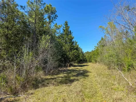 Tbd Fm 946 Coldspring TX 77331