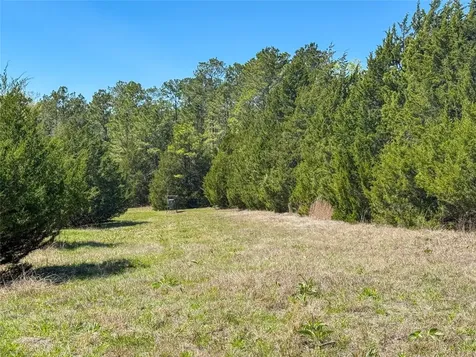 Tbd Fm 946 Coldspring TX 77331