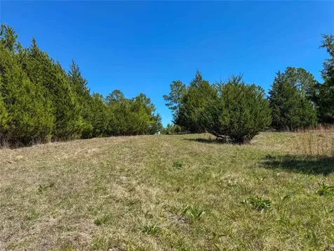 Tbd Fm 946 Coldspring TX 77331