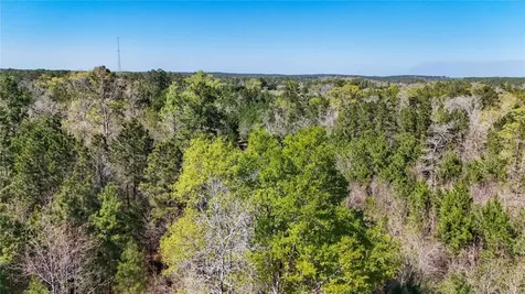 Tbd Fm 946 Coldspring TX 77331