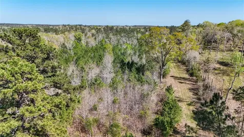 Tbd Fm 946 Coldspring TX 77331