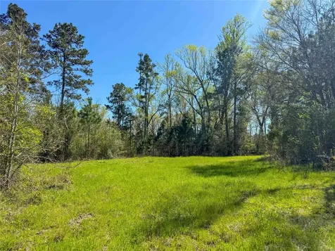 Tbd Fm 946 Coldspring TX 77331