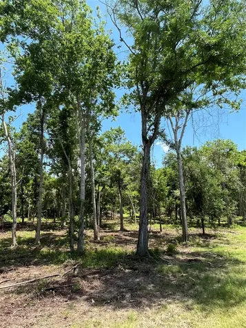 0 Oyster Creek Drive Angleton TX 77515