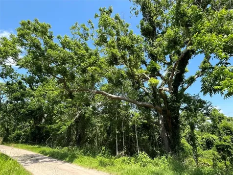 0 Oyster Creek Drive Angleton TX 77515