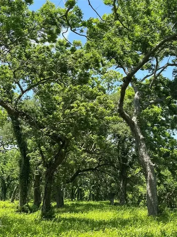 0 Oyster Creek Drive Angleton TX 77515