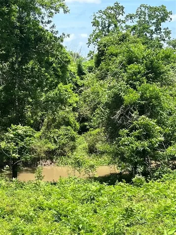 0 Oyster Creek Drive Angleton TX 77515