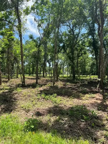 0 Oyster Creek Drive Angleton TX 77515