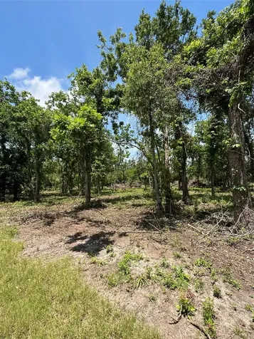 0 Oyster Creek Drive Angleton TX 77515
