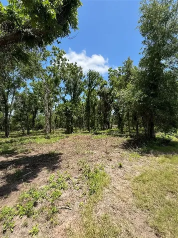 0 Oyster Creek Drive Angleton TX 77515