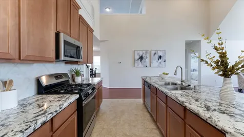 3818 S Venosa Court Missouri City TX 77459