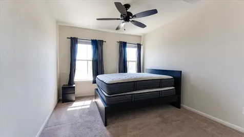3818 S Venosa Court Missouri City TX 77459