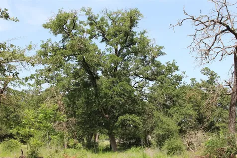 2547 Bob Mathews Street Bedias TX 77831