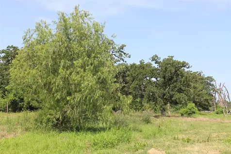 2547 Bob Mathews Street Bedias TX 77831