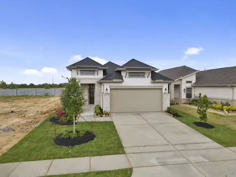 26322 Euphoria Way Hockley TX 77447