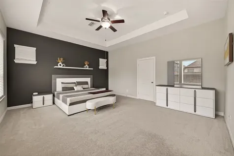 2706 Ripe Amber Cup Court Richmond TX 77406