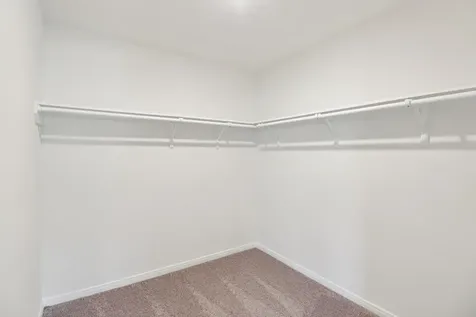 710 Appaloosa Meadow Drive Magnolia TX 77354