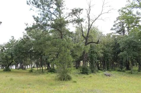 Tract 152 Private Road 1311 Centerville TX 75833