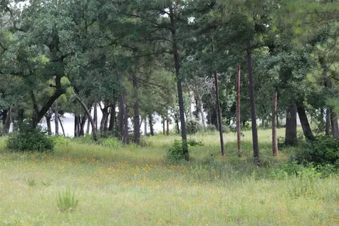 Tract 152 Private Road 1311 Centerville TX 75833