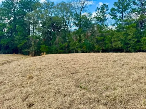 Lot 1 Lakeland Ranch Drive Hillister TX 77624
