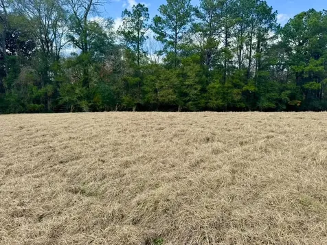 Lot 1 Lakeland Ranch Drive Hillister TX 77624