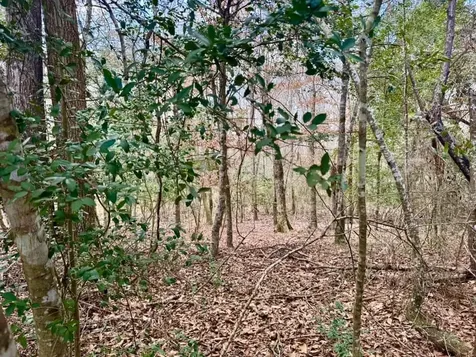 Lot 1 Lakeland Ranch Drive Hillister TX 77624