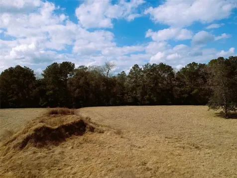Lot 1 Lakeland Ranch Drive Hillister TX 77624