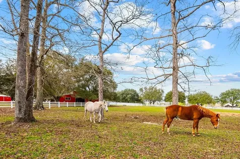 Lot 1 Lakeland Ranch Drive Hillister TX 77624