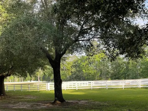 Lot 1 Lakeland Ranch Drive Hillister TX 77624
