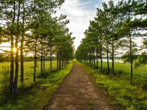 Lot 1 Lakeland Ranch Drive Hillister TX 77624