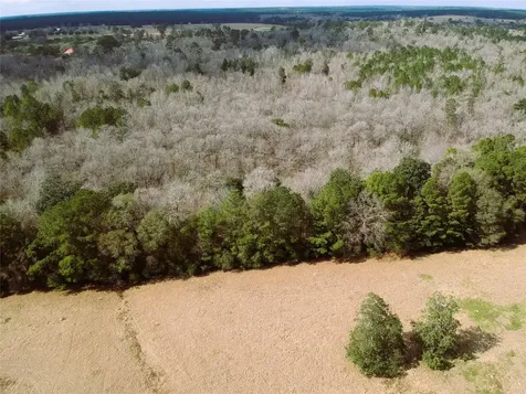 Lot 1 Lakeland Ranch Drive Hillister TX 77624