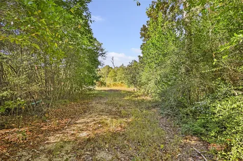 1224 Plum Pudding Road Livingston TX 77351