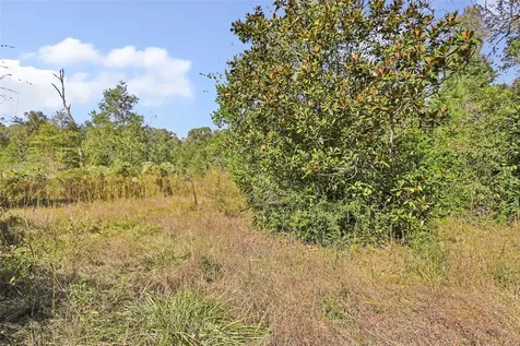 1224 Plum Pudding Road Livingston TX 77351