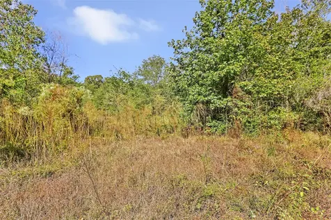 1224 Plum Pudding Road Livingston TX 77351