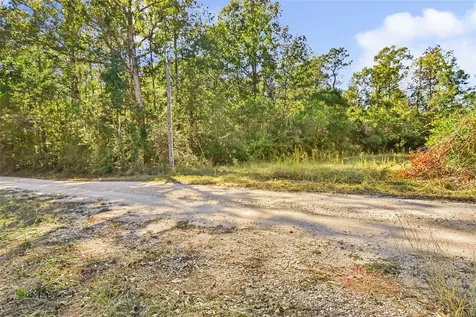 1224 Plum Pudding Road Livingston TX 77351
