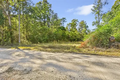 1224 Plum Pudding Road Livingston TX 77351
