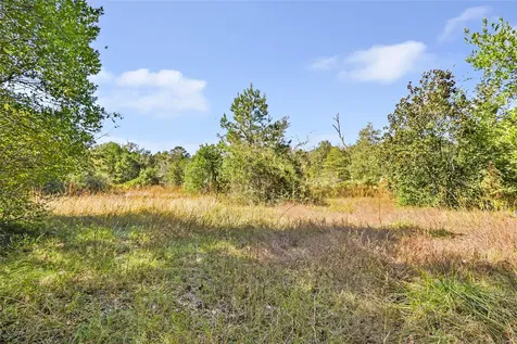 1224 Plum Pudding Road Livingston TX 77351
