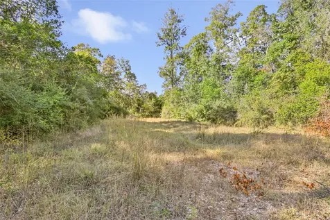 1224 Plum Pudding Road Livingston TX 77351