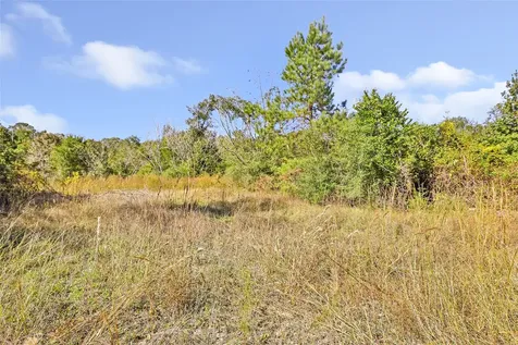 1224 Plum Pudding Road Livingston TX 77351
