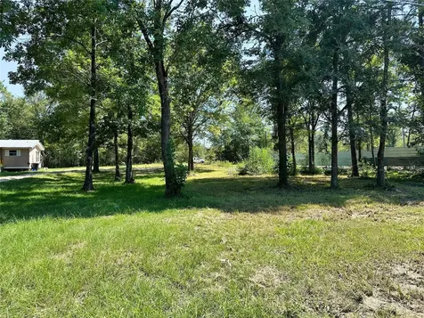 00 Delaware Drive Huntsville TX 77320