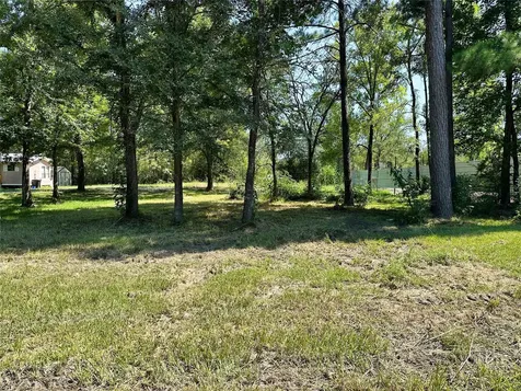 00 Delaware Drive Huntsville TX 77320