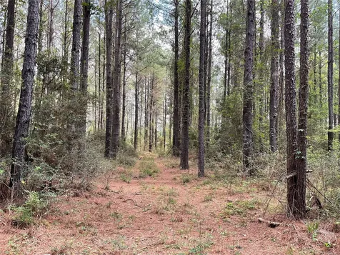 Lot 2b & 2c Fuller Springs Drive Lufkin TX 75901