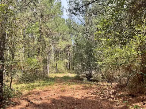 Lot 2b & 2c Fuller Springs Drive Lufkin TX 75901