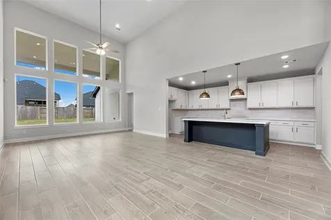 16207 Mallard View Lane Hockley TX 77447