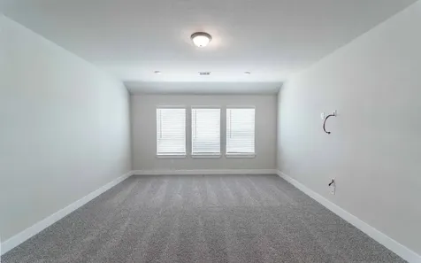 8915 Rose Jade Drive Iowa Colony TX 77583