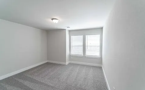 8915 Rose Jade Drive Iowa Colony TX 77583