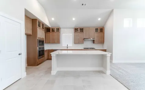 8915 Rose Jade Drive Iowa Colony TX 77583