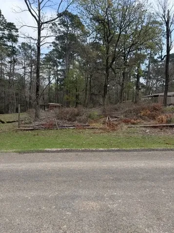Lot 213 Dogwood Drive Trinity TX 75862