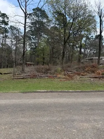 Lot 213 Dogwood Drive Trinity TX 75862