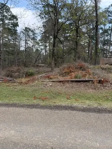 Lot 213 Dogwood Drive Trinity TX 75862