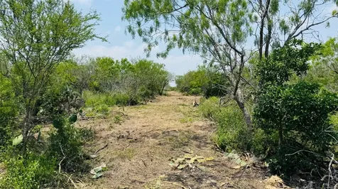 Tbd Lot 2 5.35 Ac Ridgeway Lane Beeville TX 78102
